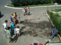 Labdalelvs puttonyfecskendvel