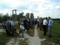 Megrkezett a szomor hr